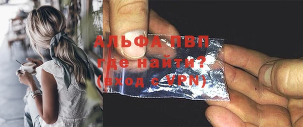 индика Балахна