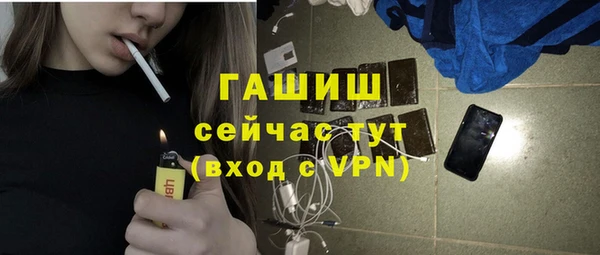 индика Балахна