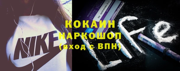 индика Балахна