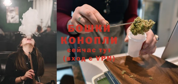 индика Балахна