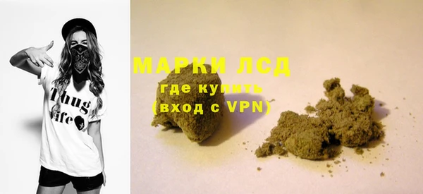 индика Балахна