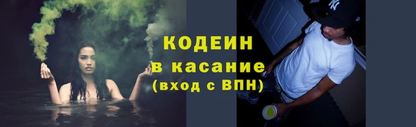 индика Балахна