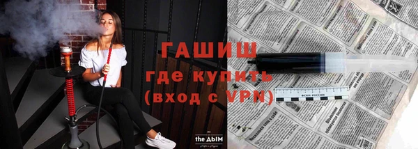 индика Балахна