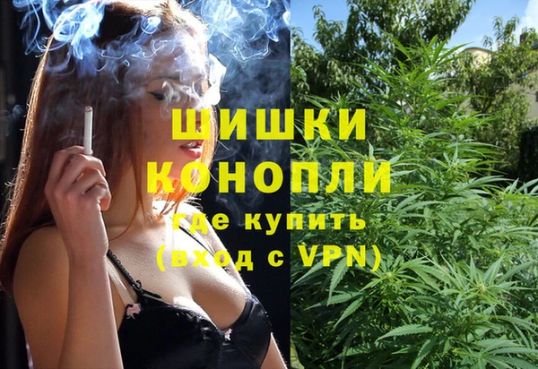 индика Балахна