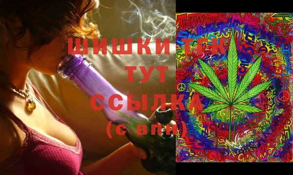 индика Балахна