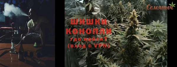 индика Балахна