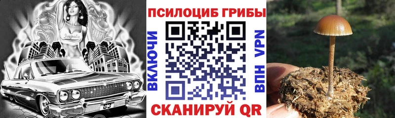 наркошоп  маркетплейс состав  Псилоцибиновые грибы Psilocybe  Белёв 